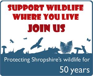 Join Shropshire Wildlife Trust - Click here for details